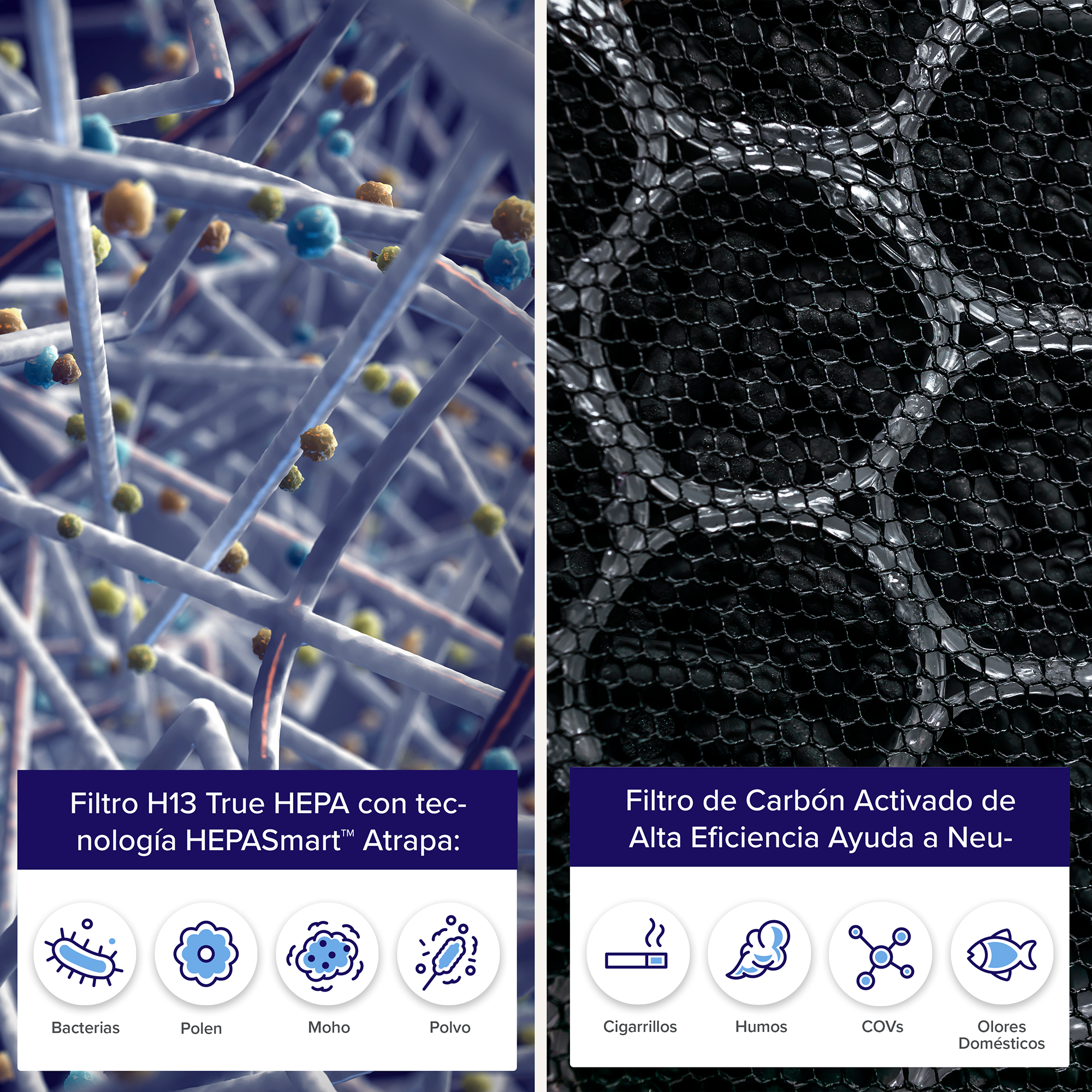 LEVOIT - Filtre à air de rechange pour purificateur d'air Everest