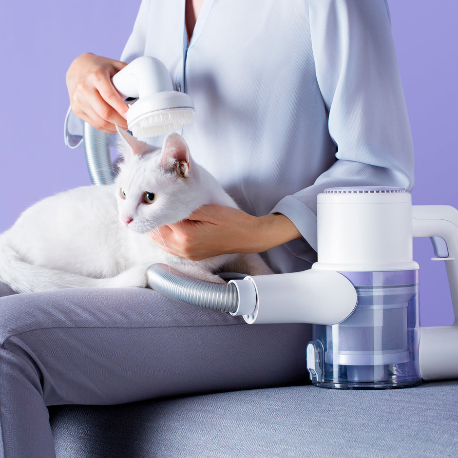 ROIDMI - Aspiradora portátil Zero Storm