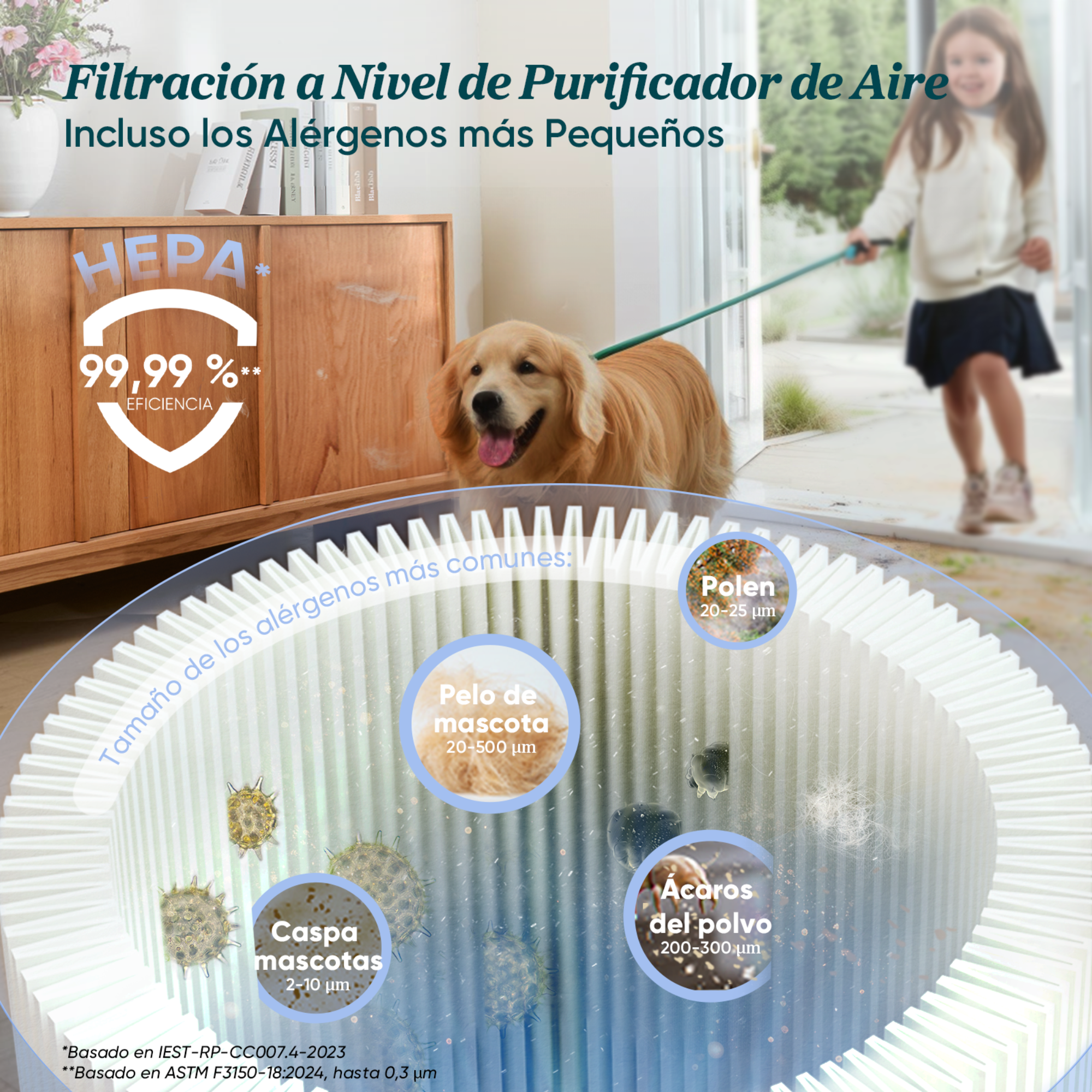 Aspirateur sans fil LEVOIT LVAC-300 Plus avec brosse anti-emmêlement, moteur de 240 W et tête flexible à 180°