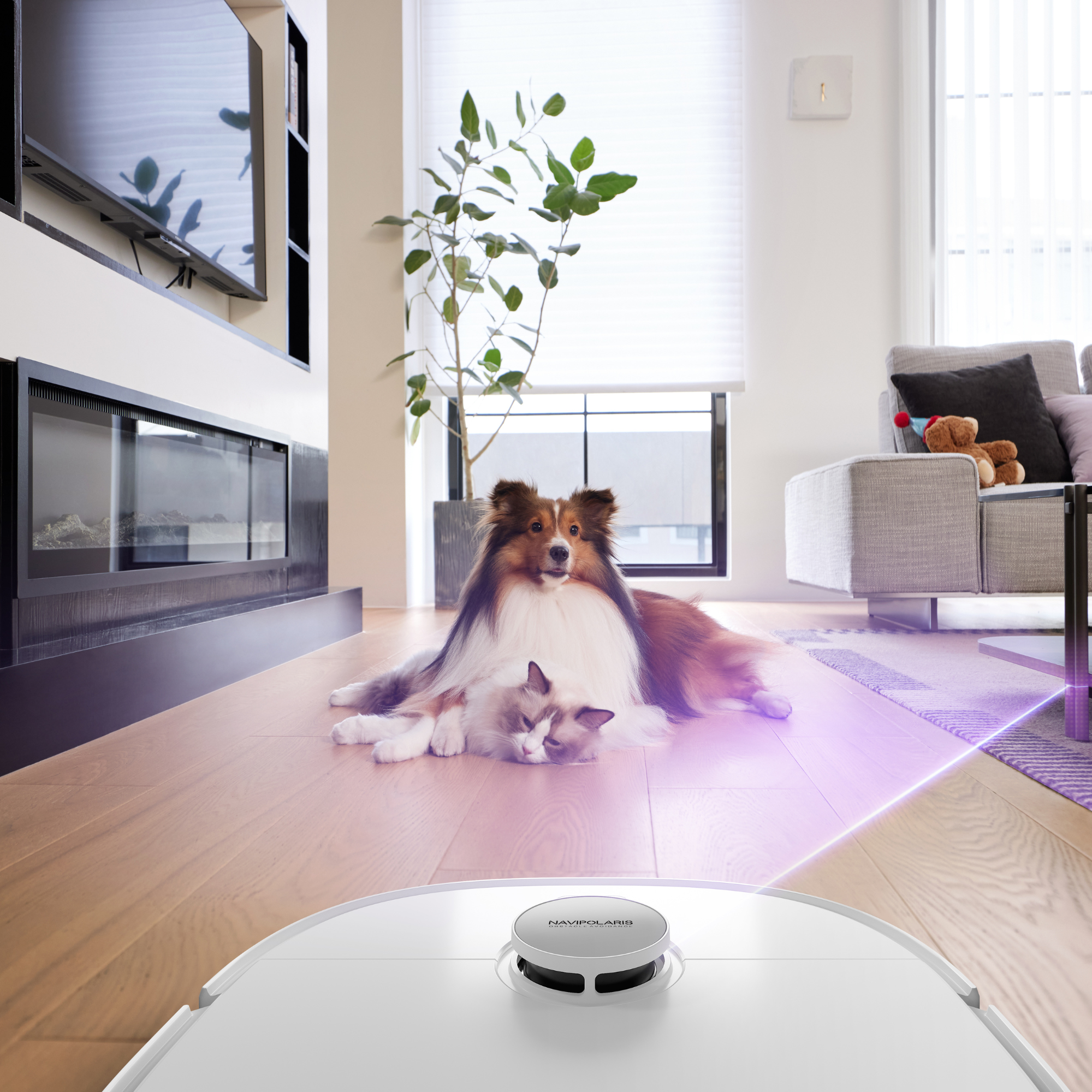 Eureka J15 Pro Ultra Robot Aspirador y Friegasuelos con Succión de 16.200Pa, Anti-Enredos y Lavado con Agua Caliente - Blanco