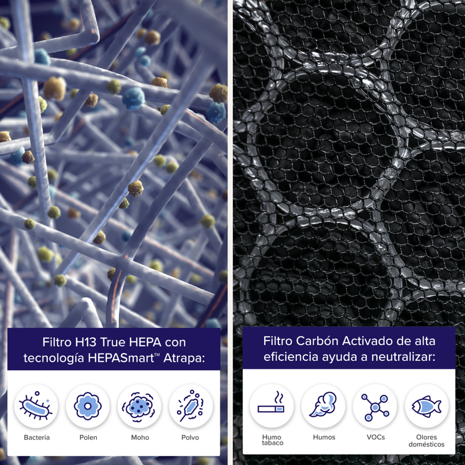 LEVOIT - Filtre à air de rechange pour purificateur d'air Everest