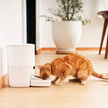Distributeur automatique de nourriture pour chats Pawsync 3,6 L, Wi-Fi 2,4 GHz avec rapport diététique via application, sans BPA, bol en acier inoxydable 304, jusqu'à 10 repas, double bol pour nourrir chats et chiens.