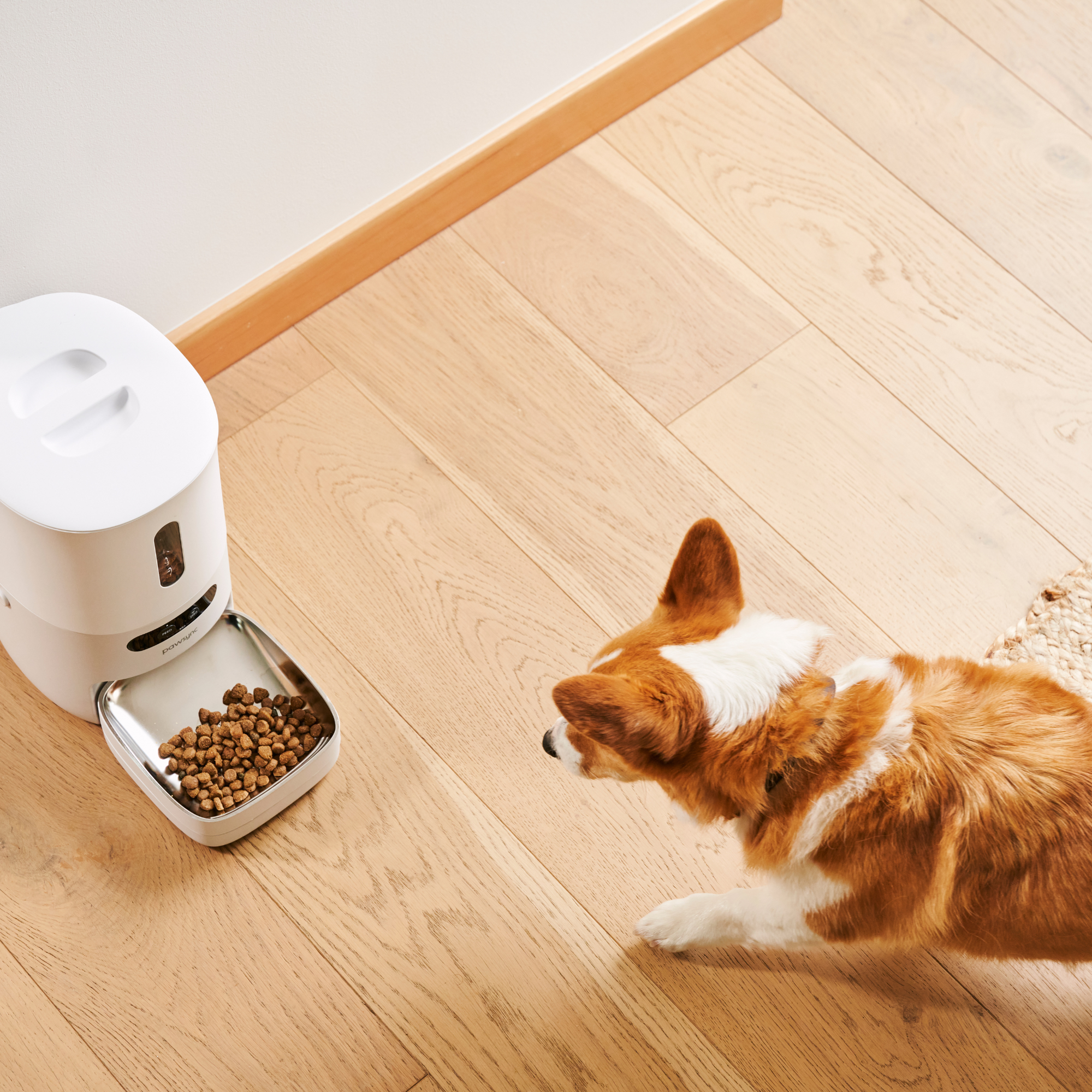 Distributeur automatique de nourriture pour chats Pawsync 3,6 L, Wi-Fi 2,4 GHz avec rapport diététique via application, sans BPA, bol en acier inoxydable 304, jusqu'à 10 repas, double bol pour nourrir chats et chiens.