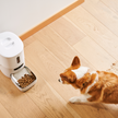 Distributeur automatique de nourriture pour chats Pawsync 3,6 L, Wi-Fi 2,4 GHz avec rapport diététique via application, sans BPA, bol en acier inoxydable 304, jusqu'à 10 repas, double bol pour nourrir chats et chiens.